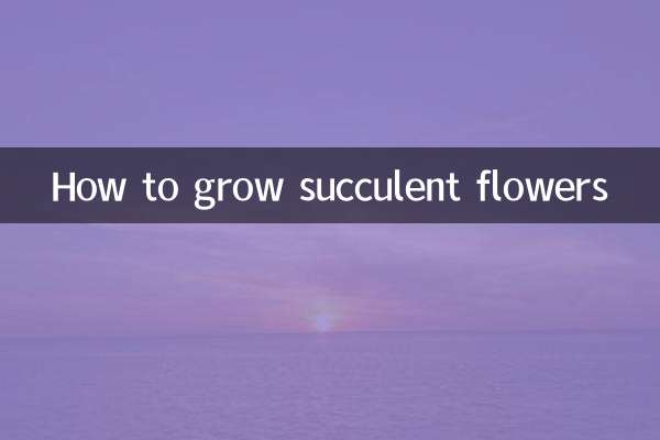 Come coltivare fiori succulenti