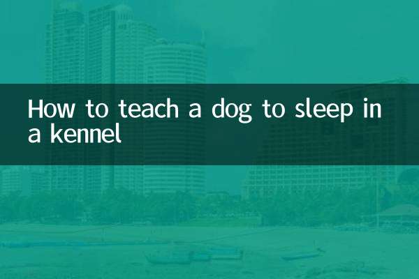 How to teach a dog to sleep in a kennel