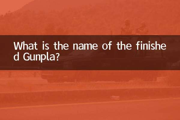 What is the name of the finished Gunpla?