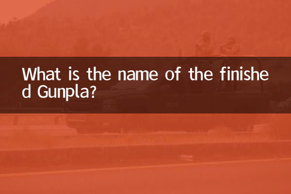 What is the name of the finished Gunpla?