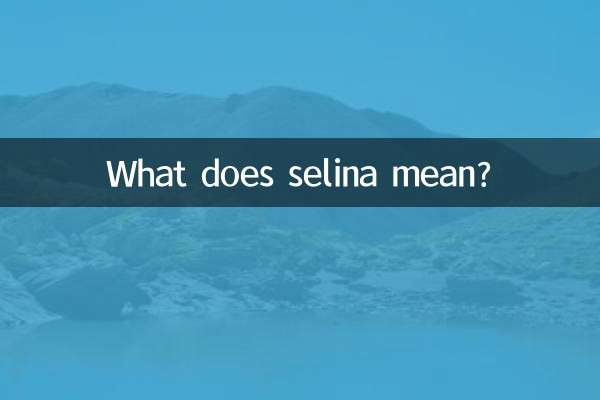 selina什麼意思