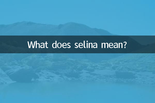selina什麼意思