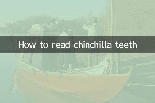 Comment lire les dents d'un chinchilla