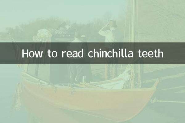 Comment lire les dents d'un chinchilla