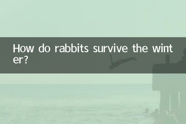 토끼는 어떻게 겨울을 살아남나요?