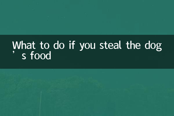 Was tun, wenn Sie dem Hund das Futter stehlen?