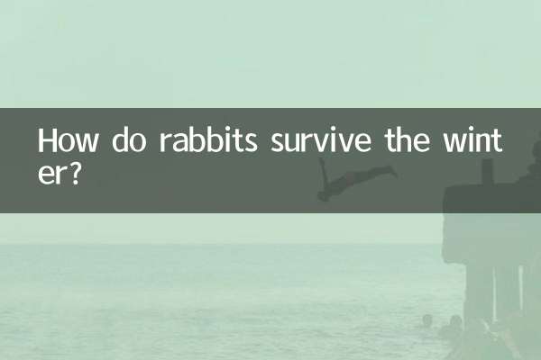 토끼는 어떻게 겨울을 살아남나요?