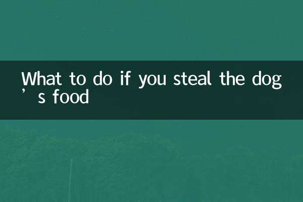 Was tun, wenn Sie dem Hund das Futter stehlen?