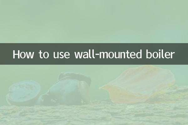 挂壁锅炉怎么使用