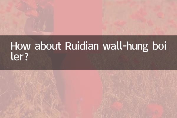 How about Ruidian wall-hung boiler?