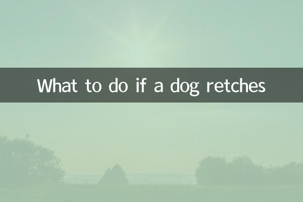 狗乾嘔是怎麼辦