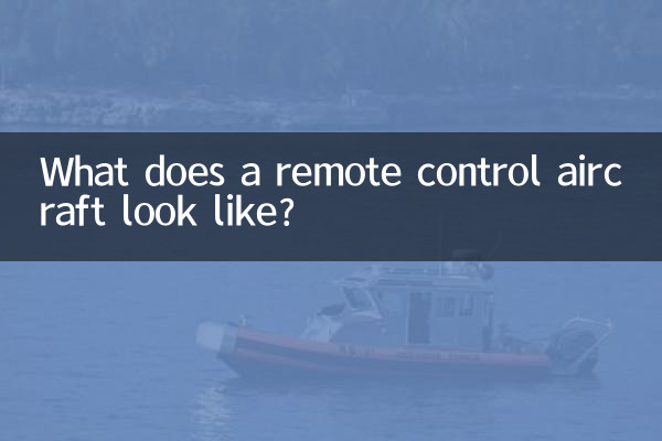 রিমোট কন্ট্রোল বিমান দেখতে কেমন?