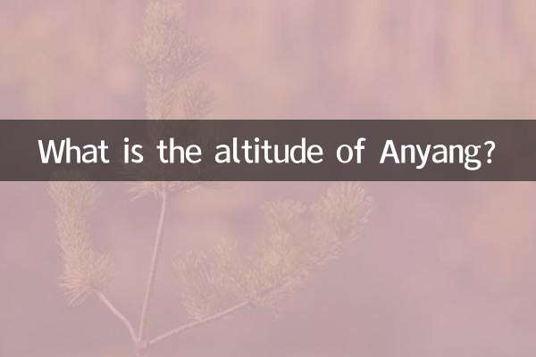 ارتفاع آنیانگ چقدر است؟