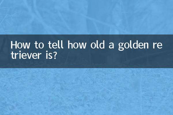 How to tell how old a golden retriever is?