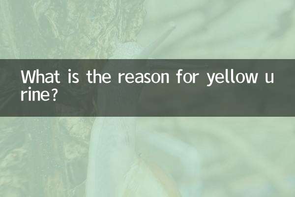 소변이 노란색으로 변하는 이유는 무엇입니까?