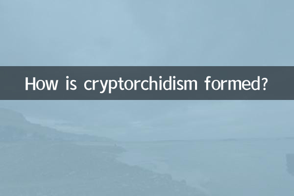 隱睾是怎麼形成的