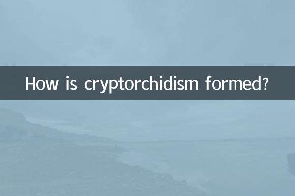 隱睾是怎麼形成的