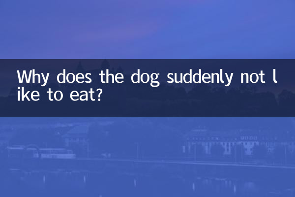 강아지가 갑자기 밥 먹기 싫어하는 이유는 무엇일까요?