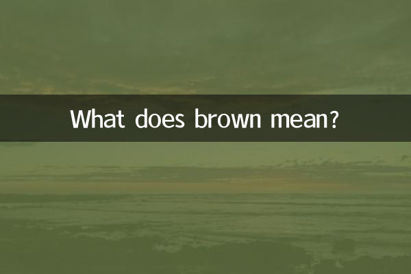 갈색은 무슨 뜻인가요?