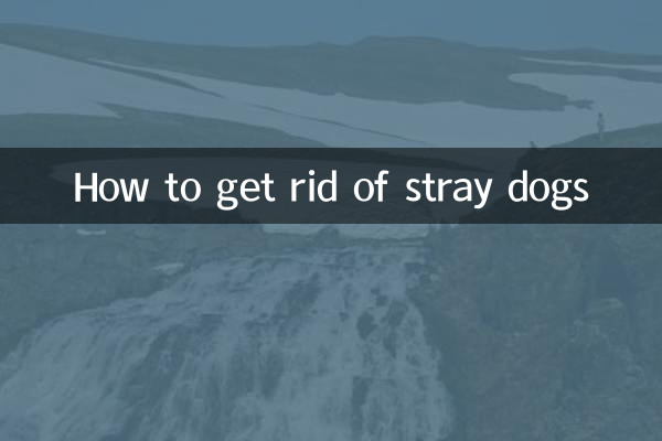 怎麼把流浪狗趕走