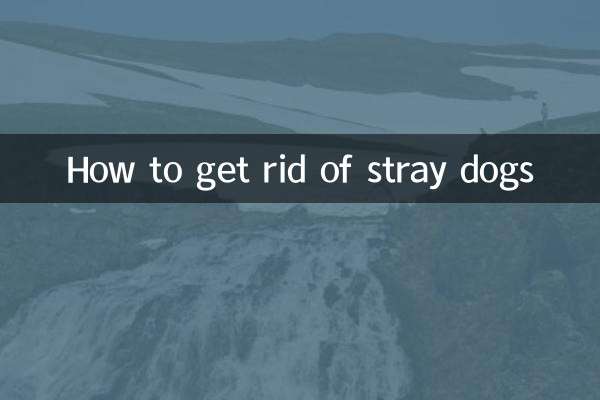 Come sbarazzarsi dei cani randagi