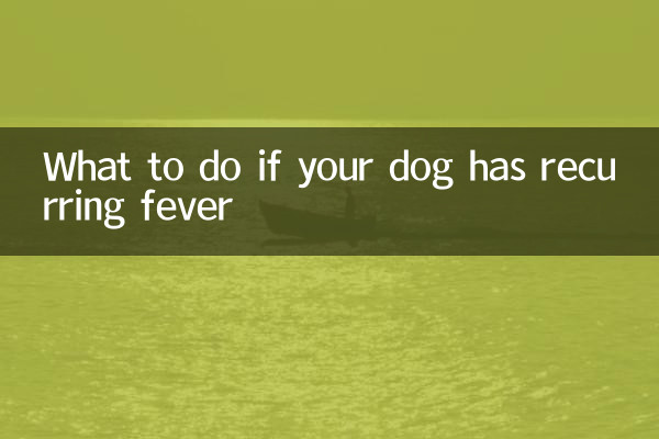 Qué hacer si tu perro tiene fiebre recurrente