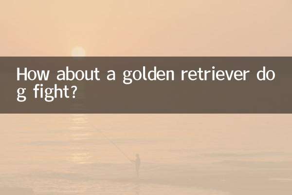 ماذا عن معركة كلب جولدن ريتريفر؟