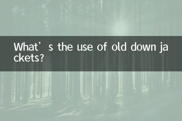 古いダウンジャケットは何の役に立つの？