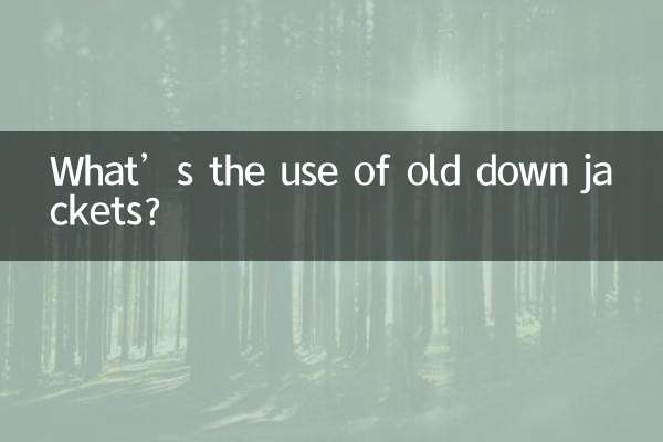 古いダウンジャケットは何の役に立つの？