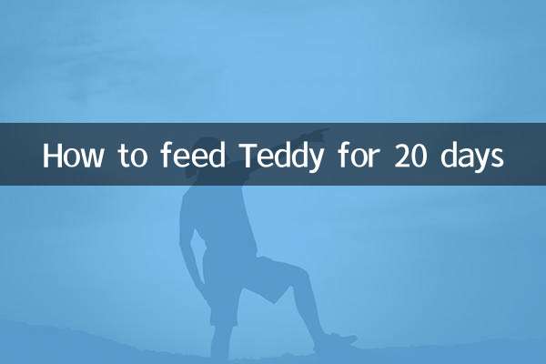 Como alimentar Teddy por 20 dias