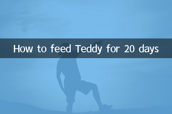Como alimentar Teddy por 20 dias