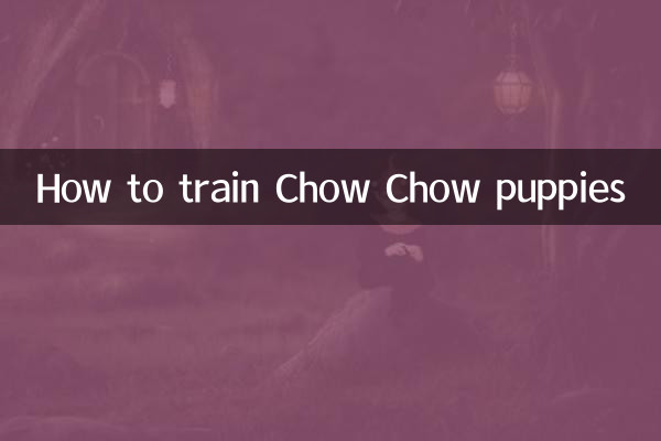 How to train Chow Chow puppies