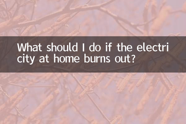 What should I do if the electricity at home burns out?
