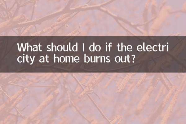 What should I do if the electricity at home burns out?