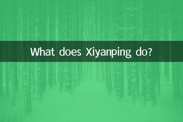 ¿Qué hace Xiyanping?